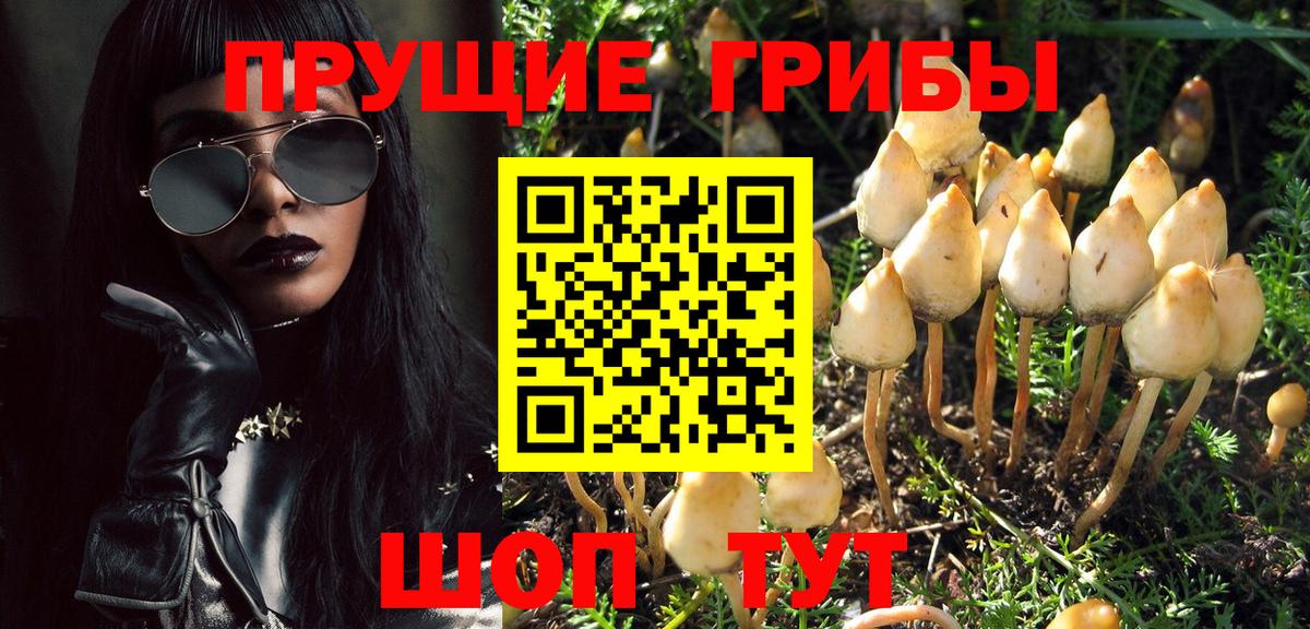 Галлюциногенные грибы MAGIC MUSHROOMS  Вход с VPN  Соликамск 